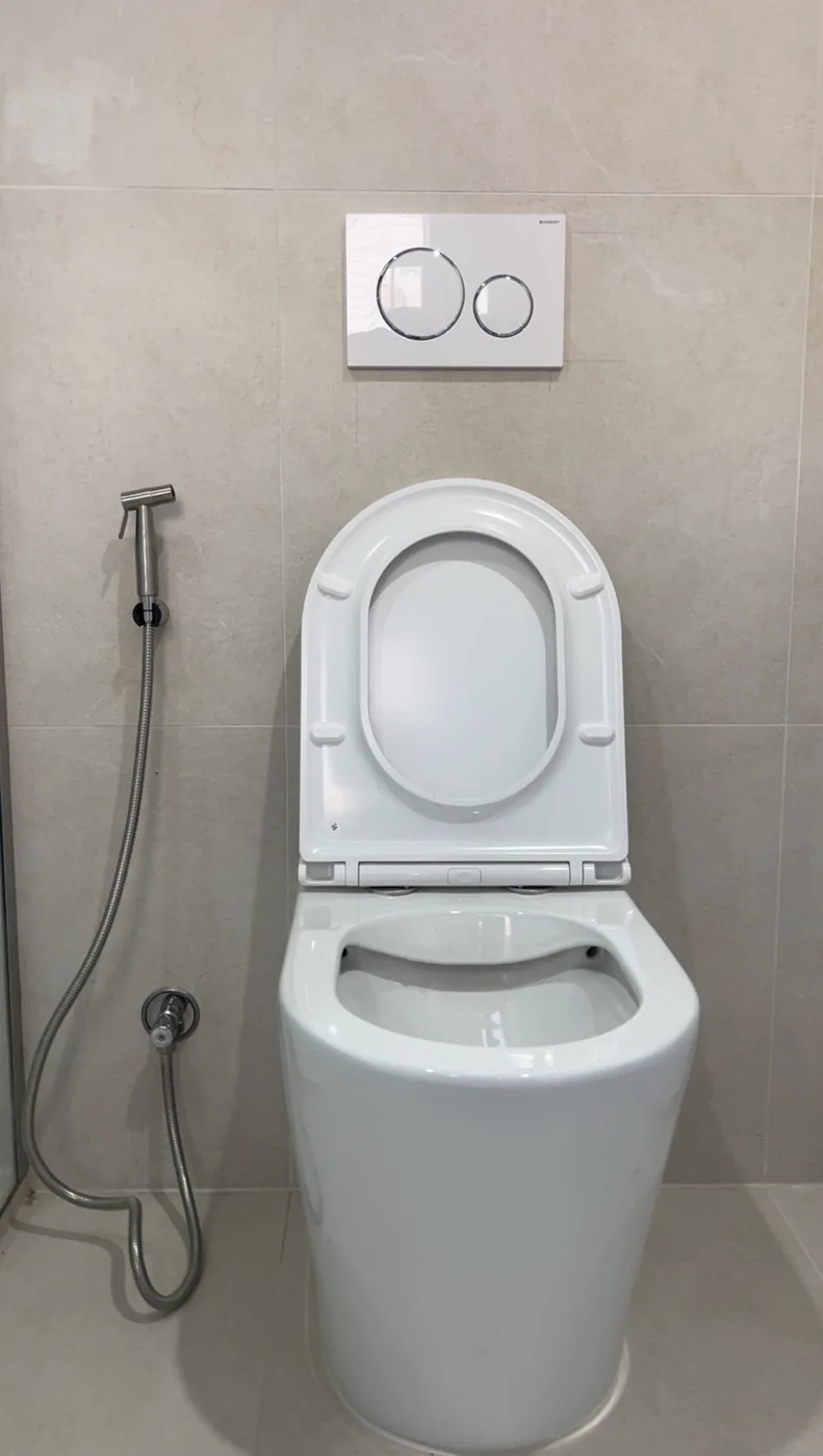 Installed toilet with concealed cistern controls and handheld spray